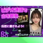 グレープ画像